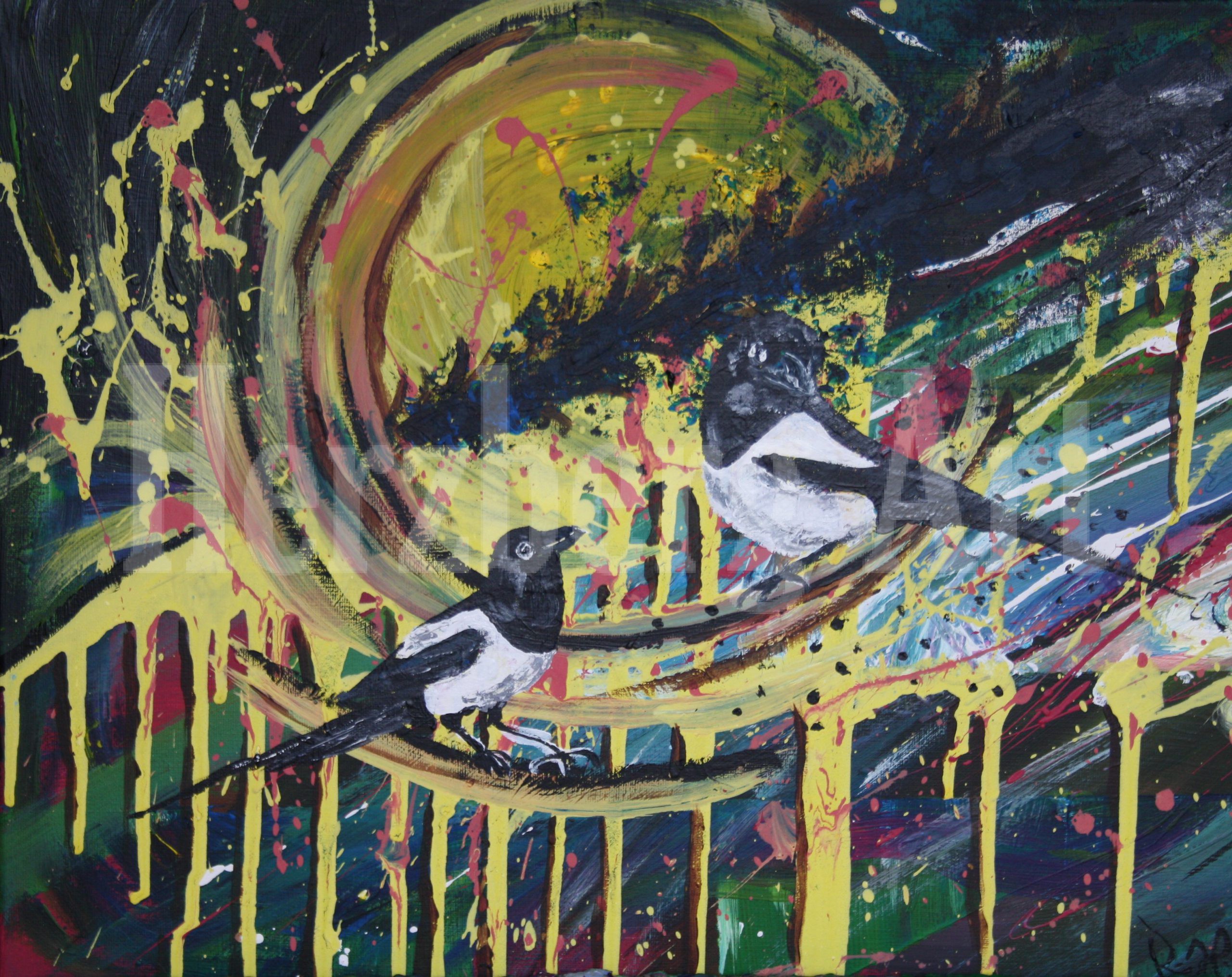 Elster im SOnnenuntergang 40 x 50 cm