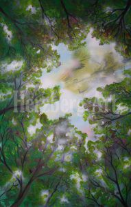 Lichtblick 75x115 cm