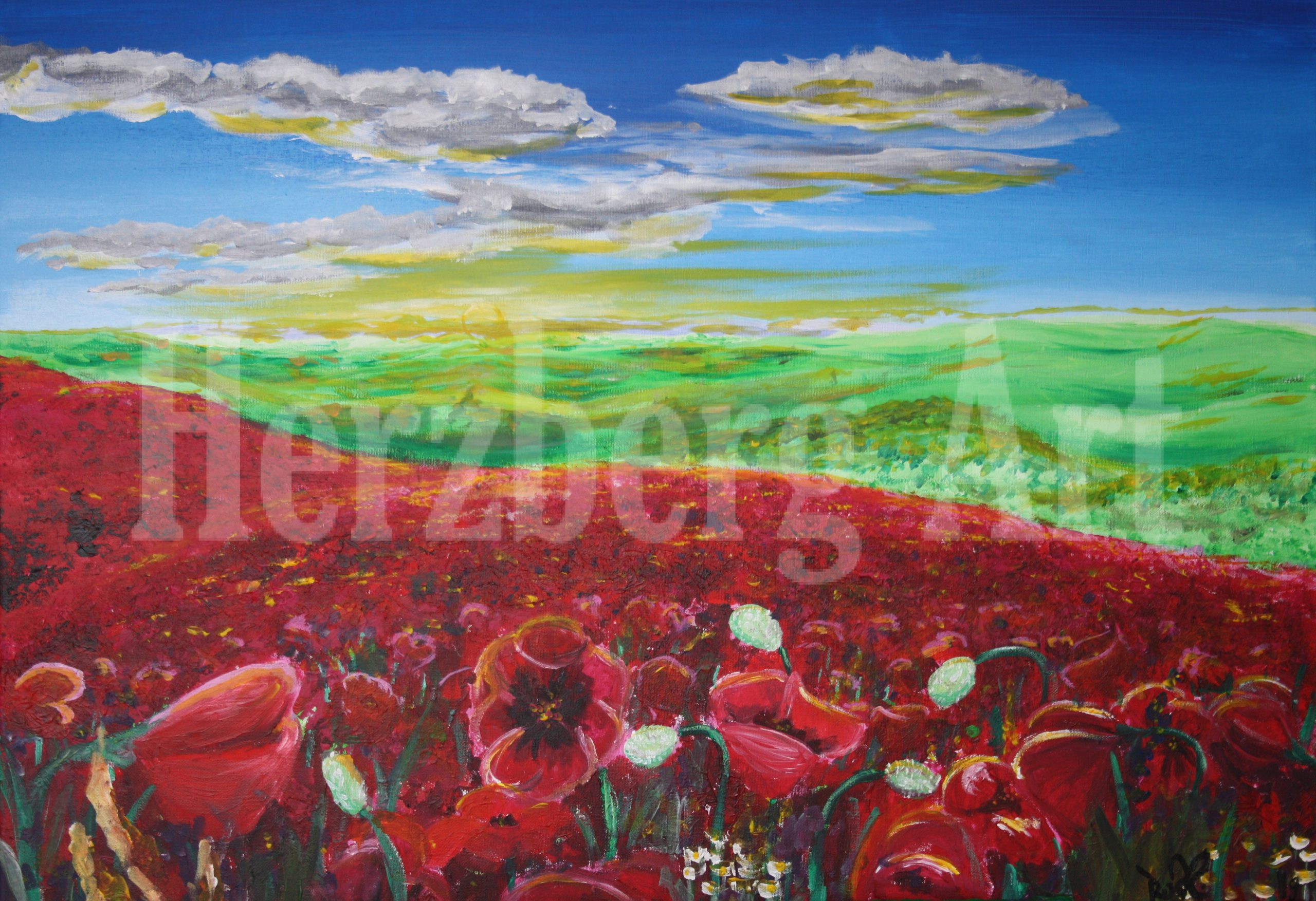 Mohnblumenfeld 60x80 cm
