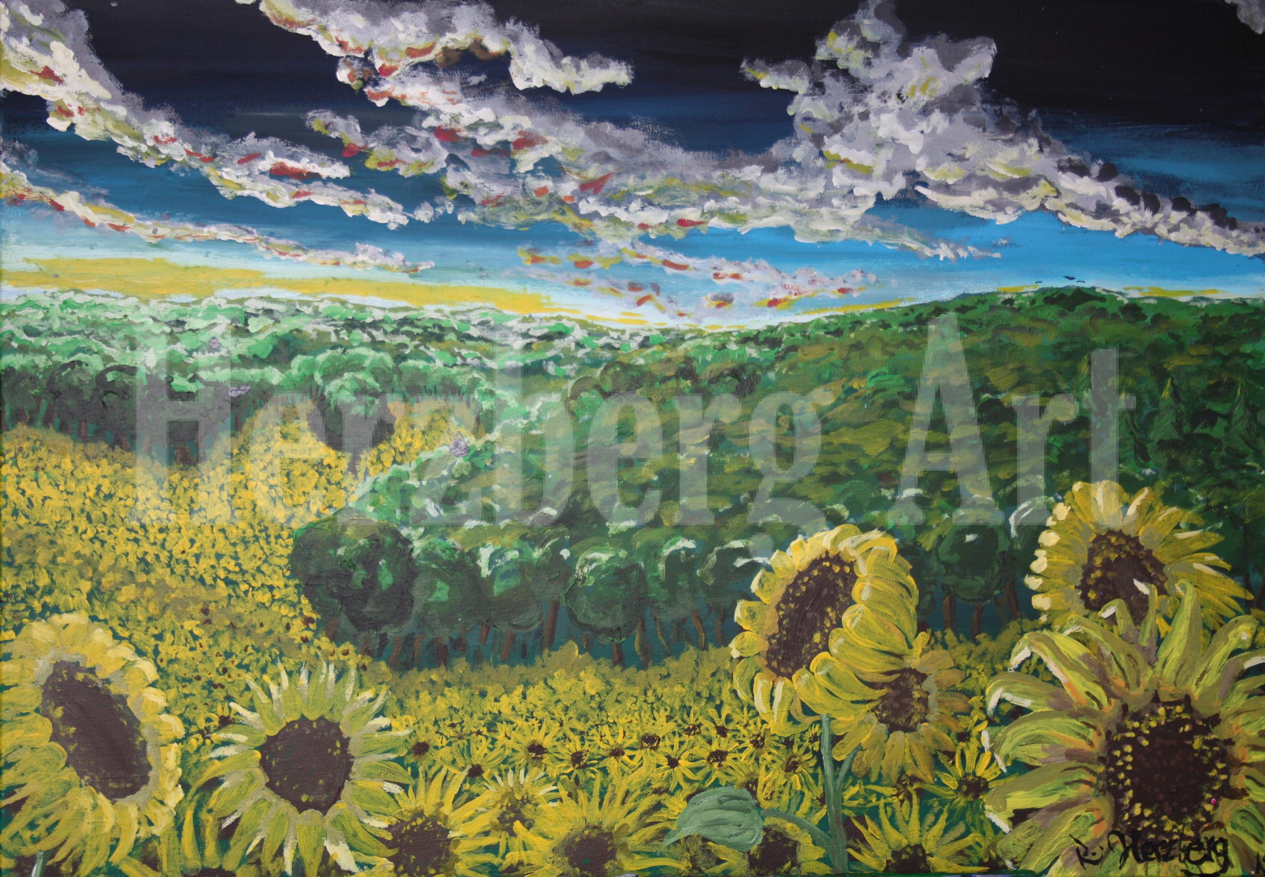 Sonnenblumenfeld 60x80 cm